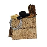 3-D Western Centerpiece Party Accessory (1/Pkg) (Value 3-pack)