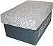 Classic Laid Avon Brilliant White Laser 24# #10 Envelope 500/pack