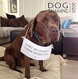 2020 Dog Shaming Large Wall Calendar | 12" x 24" (Open)| Thick and Sturdy Paper | Funny Wall Calendar | Cute Calendar 2020 | Christmas Gift | Birthday Gift for Dog Lovers