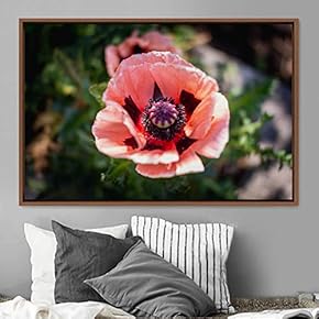signwin Framed Canvas Wall Art Flora Snapshot Closeup...