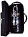 Zephyr 606S Deluxe Double-Braced Silver Trumpet w/Gold Trim Outfit