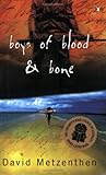 Front cover for the book Boys Of Blood & Bone by David Metzenthen