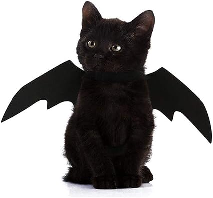 Harpily Halloween Costume Per Animale Domestico Gatto Pipistrello Vampiro Costumi Di Halloween Ali Gatto Accessori Amazon It Prodotti Per Animali Domestici