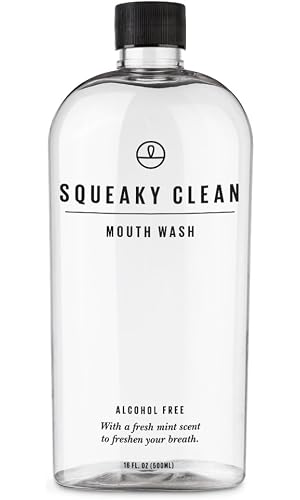 Fresh Breath Oral Mouth Rinse - Dentist Recommended, Cool Minty Flavor - Treats Bad Breath - Squeaky Clean 16oz