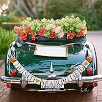 Just Married Banner Car Decorations Gold Glitter Just Married