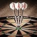 Fat Cat Pink Lady Steel Tip Darts with Storage/Travel Case, 20 Grams