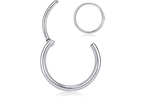 PIERCINGBOY Titanium Nose Rings 20G 18G 16G Nose Rings Hoops Septum Clicker Hinged Segment Ring Cartilage Helix Tragus Conch Daith Rook Hoop Earring, Diameter 5mm to 12mm Silver-Gold-Rose Gold-Black Hoop Ring