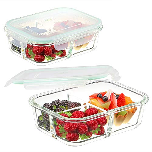 The 10 best glass lunch box containers for adults for 2020 Sideror
