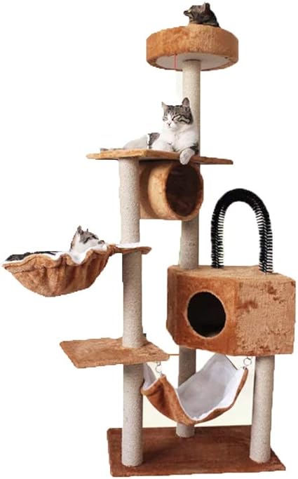 Chat Escalade étagère Murale Chat Maison Chat Arbre Chat