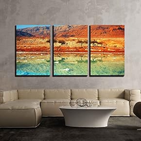 3 Piece Canvas Wall Art - Dead Sea Salt Shore - Modern Home Art Stretched and Framed Ready to Hang - 16"x24"x3 Panels