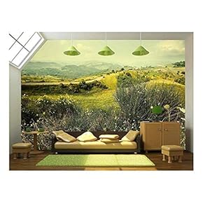 Alpine Meadow Wild Flowers Mountains - Removable Wall Mural | Self-Adhesive Large Wallpaper - 66x96 inches
