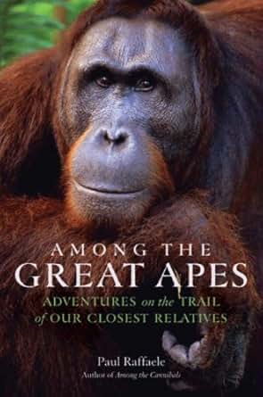 Among The Great Apes Adventures On The Trail Of Our