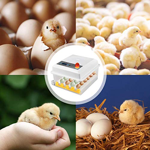 Motorbrüter Hühner Brutapparat, Digitale Eier Brutschrank, Temperatur Und Feuchtigkeitsregulierung Digitale Anzeige Für… – Bild 8