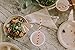 100% Compostable Paper Bowls [11.5oz 1000 Pack] Soup Bowls, Pasta Bowls, Cereal, Salad, Ice Cream, Disposable Bamboo Small Bowls, Biodegradable, Unbleached by Earth's Natural Alternative