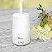 TaoTronics Essential Oil Diffuser, 100ml Ultrasonic Humidifier Portable Aromatherapy Diffuser, Aroma Diffuser with Cool Mist and Color Changing LED Lights, Diffusers for Essential Oils, Silent Buttons