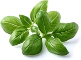 Click and Grow Basil Plant Pods 3-pack Smart Garden Brand New view 2
