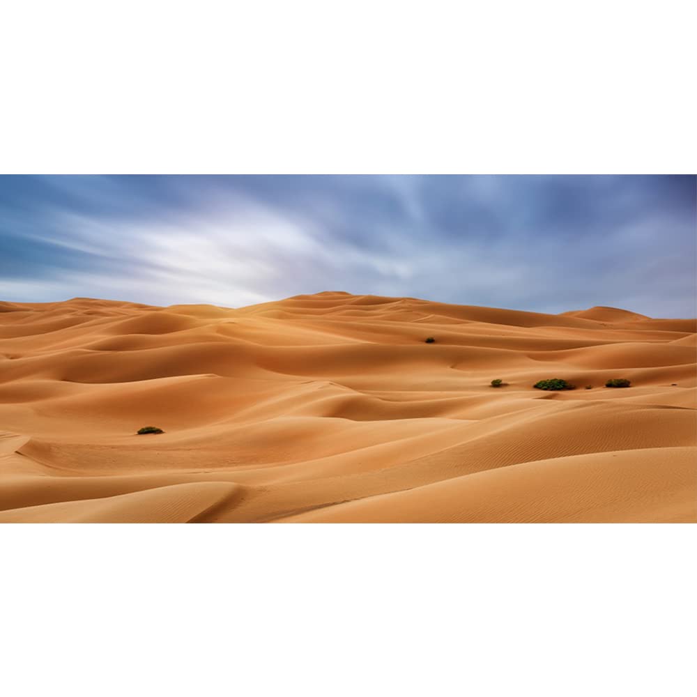 Aoihrraan 6x3m Sand Dunes Backdrop Desert Sahara Gobi Yellow Sand Western Natural Landscape Photography Background Holiday Outdoor Picnic Decor Banner Adult Girl Boy Artistic Portrait Photo Props