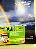 Paperback INTRODUCTION TO FAMILY PROCESSES BYU CUSTOM Book