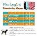 Paw Legend Washable Reusable Female Dog Period Diapers for Heat Doggie Puppy Diapers for Female Dogs (3 Pack,X-Small)