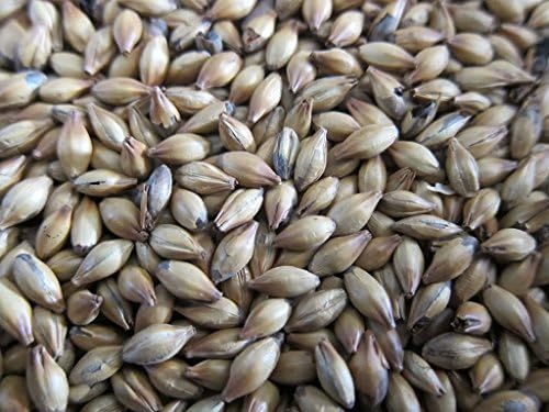 SocalHomeBrew 4160154 Special B (1 lb.)