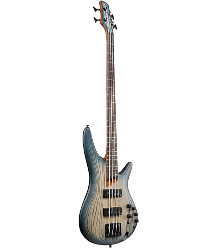 Amazon.com: Ibanez Iron Label SRMS625EX 5-string Bass Guitar