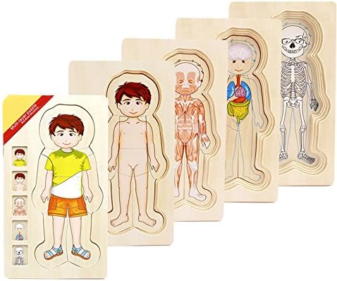 Amawong Wooden Body Puzzle for Children Educational Learning Toy Boys Girls Structure (Boys)