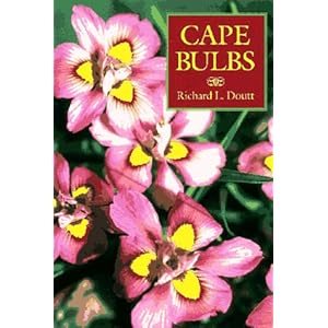 Cape Bulbs: Their Collection, Cultivation and Conservation