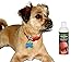 Go Green Leather Conditioner – Organic, 3 in 1 Leather Care, Cleans, Protects and Restores your leather, Unleash the Power of Coconut on your Leather, Perfect for Auto Lovers, Kids and Pet Safe