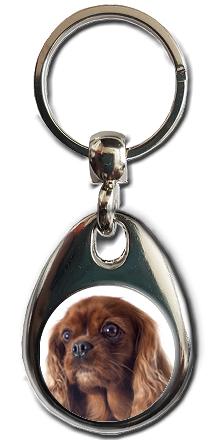 KAZMUGZ CAVALIER KING CHARLES SPANIEL ruby Dog KEYRING. Heavy quality metal gift keyring. Double sided keychain. Puppy Dog Pet gift.