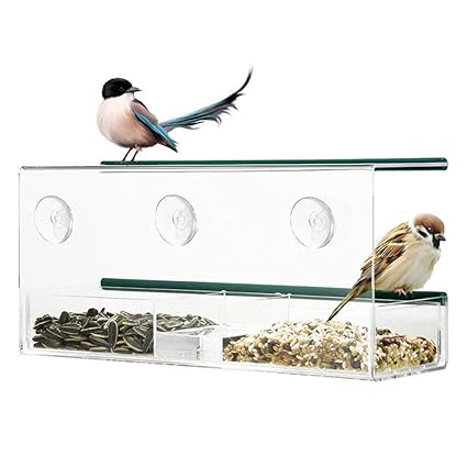 Amazon Com Littlefatbear Wild Birds Of Joy Window Bird Feeder