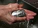 Stainless Steel Soap – The Best Odor Remover Bar and Easiest Way to Remove Smells Like Onion, Garlic, Fish, and Other Strong Scents from Hands and Skin - Just Rub Away