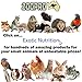 Triple Treat Forager - Durable Fun Hanging Treat Foraging Cage Accessory Toy - Sugar Gliders, Rats, Hamsters, Mice, Ferrets, Squirrels, Parrots, Birds, Marmosets, Opossums & Other Small Pets