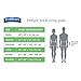 FitRight Restore Adult Briefs with Tabs, Heavy Absorbency, Medium, 32