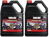 Yamalube All Purpose 4 Four Stroke Oil 10w-40 1 Gallon (2 Gallons)