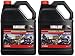 Yamalube All Purpose 4 Four Stroke Oil 10w-40 1 Gallon (2 Gallons)