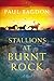 Stallions at Burnt Rock (West Texas Sunrise Book #1): A Novel by Paul Bagdon