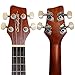 Sawtooth Pineapple Soprano Ukulele Mahogany 21 inch Ukulele Beginner Kit Online Lesson Padded Gig Bag Premium Wood Uke Stand Picks Quick Start Guide Ukulele Pack