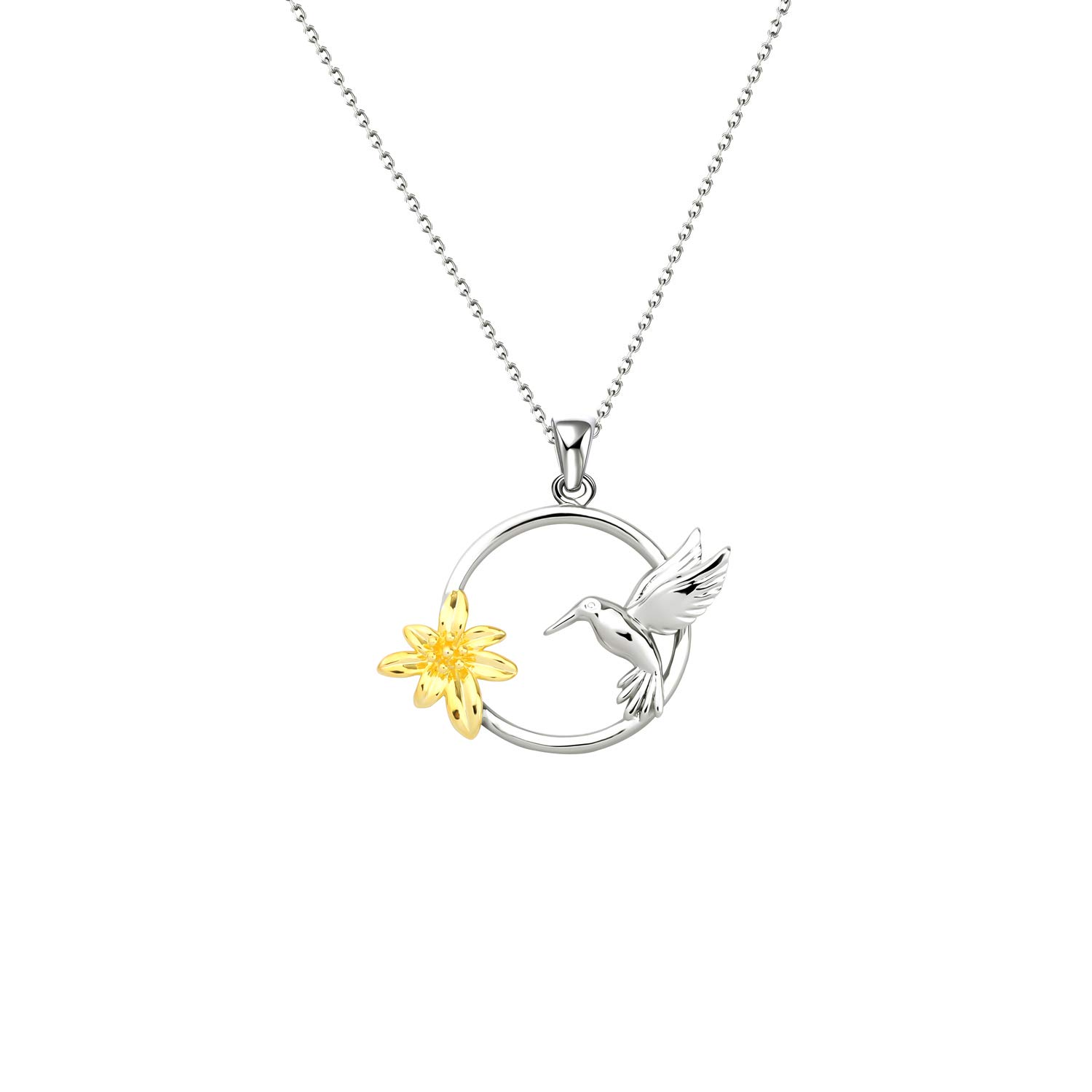 Buy AKTAP Hummingbird Necklace with Flowers Hummingbird Gift Animal