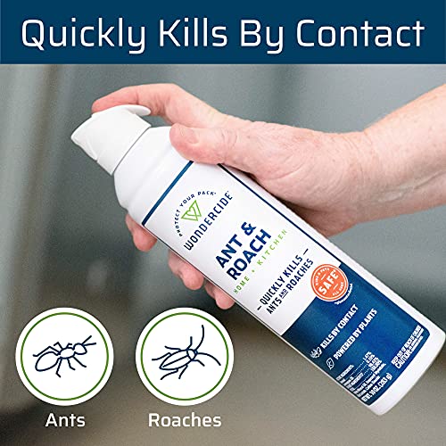 Wondercide Ant and Roach Aerosol Spray for Kitchen, Home, and Indoor