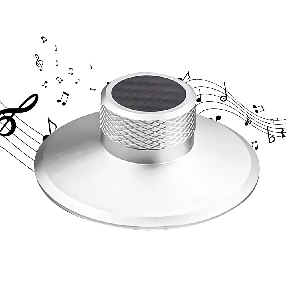 Brollitest Carbonfaser-Schallplattengewichtsscheibe, Vinyl-Gewichtsstabilisator, Schallplattenklammerstabilisator, 130g, Für Plattenspieler-Plattenspieler-Silber