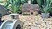 Bliss Fairy Gardens Magical Starter Kit for Her | Indoor or Outdoor (Weather Resistant) | Irresistible Hand-Crafted English Cottage 11 Piece Accessory Collection
