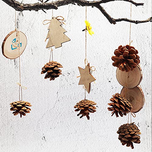 JOHOUSE 24PCS Big PineCones, Natural PineCones Package, PineCones Ornaments for Autumn and Winter Crafts Decorating, Christmas Decor, Bowl Vase Fillers