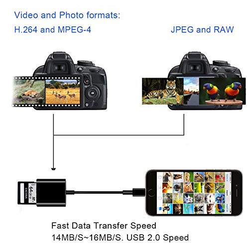 Weihao SD Card Camera Reader Adapter for iPhone iPad [Support iOS 9.2 or up] Trail Game Camera Card Viewer Reader for iPhone 8/8Plus/6/6s/6Plus/7/7s/7Plus/5/5s/X/iPad Mini/Air,No APP Needed - Thumbnail 2
