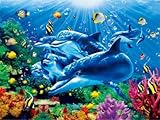 3D Lenticular Picture Poster Artwork Unique Wall Decor Holographic Pictures Optical Illusion Flipping Images (Without Frame, Dolphins)