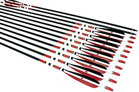 TTAD 12PCS Hunting 31" Carbon Arrows Screw tips Arrows Turkey Feather Recurve Compound bow Handmade