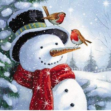 Charity Christmas Cards (MED-CHMT0011) Snowman and Robins - Pack of 6 - in Aid of Multiple Charities