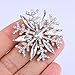 EVER FAITH Silver-Tone Austrian Crystal Winter Art Deco Snowflake Flower Brooch Pin