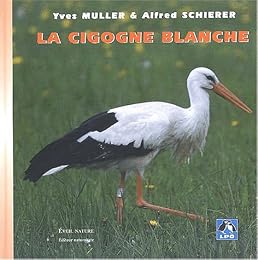 La  cigogne blanche