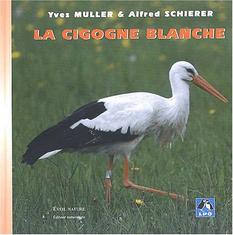 La  cigogne blanche