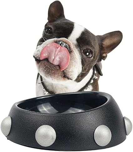 Xdyff Bols Chat Chat Bol De Nourriture Polychrome De La